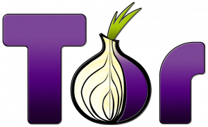 tor_browser_logo__no_trans_background__by_j_bob-d5gjsad
